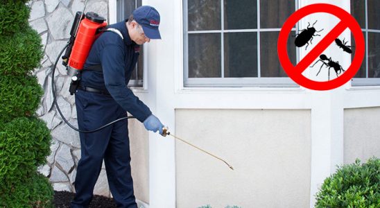 Merzifon Karınca İlaçlama böcek ilaçlama ve haşere kontrolü — ilaclama-tr.com